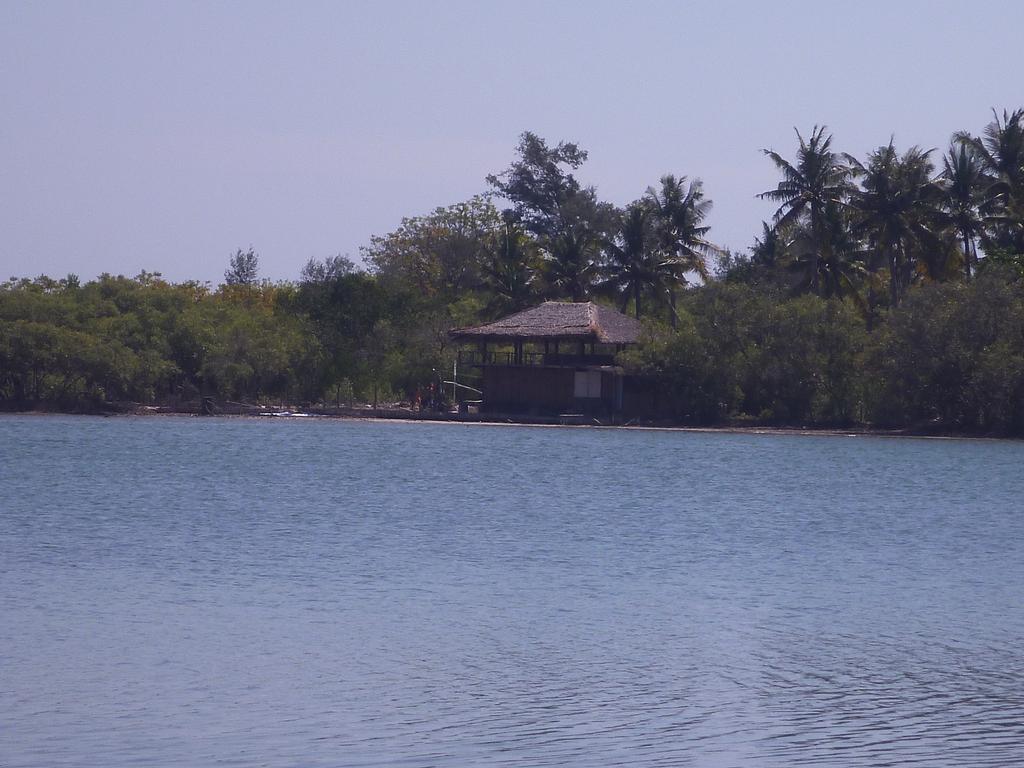 Hotel Rose Bungalow Pemenang Exterior foto